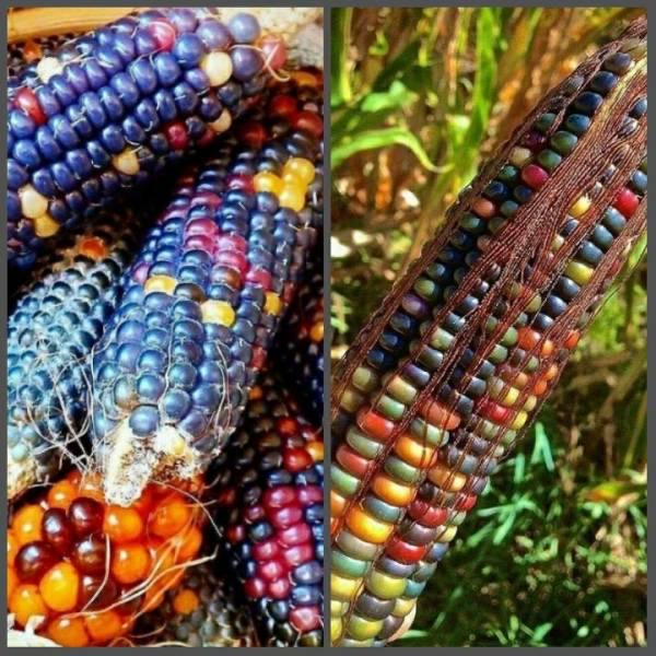 悪いことをしよう/ SOMEDAY